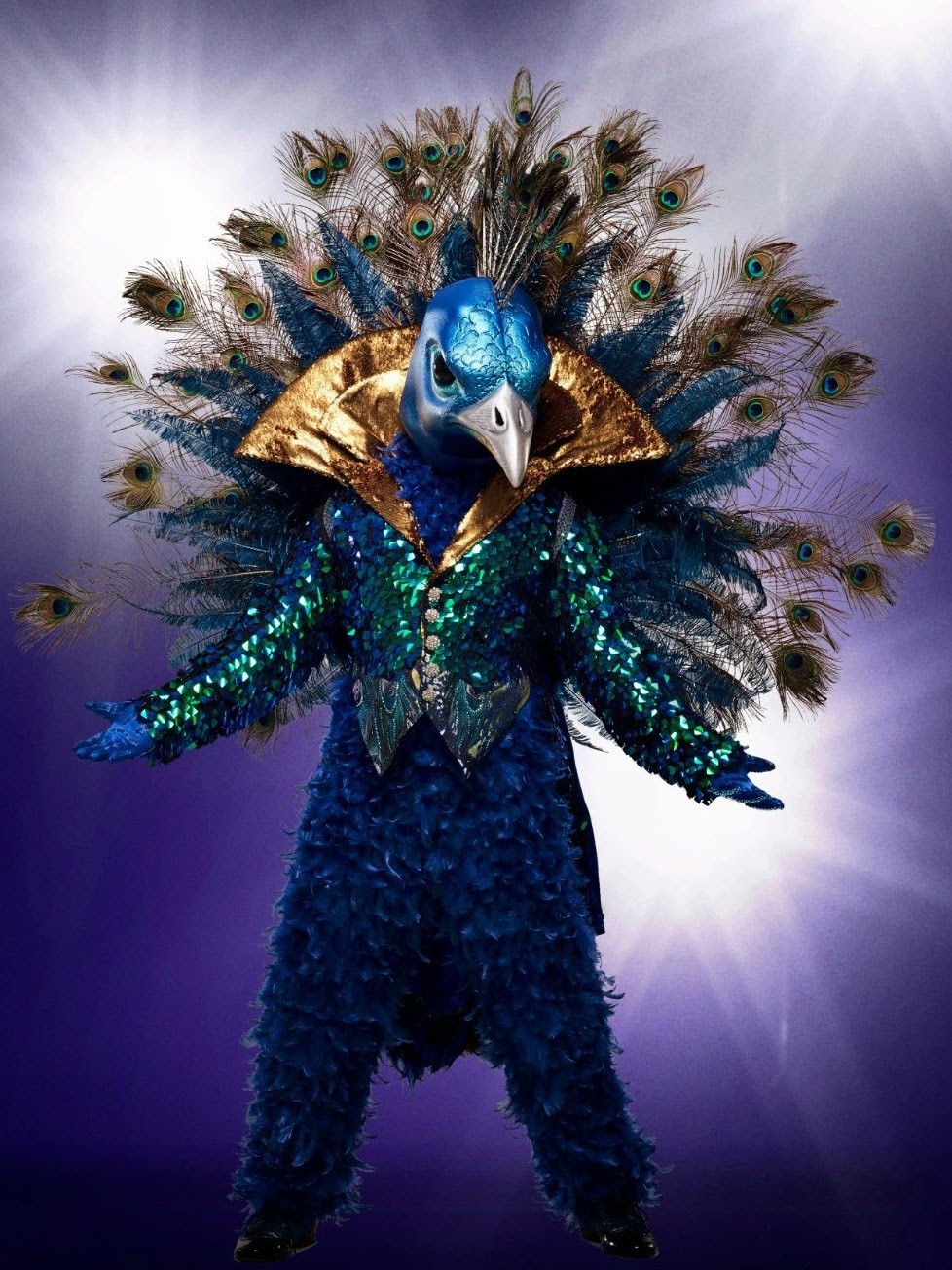 Image of Donny Osmond 